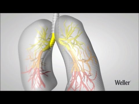 Weller Absauggerät im Kit mit je 2x Absaugarm & Trichterdüse